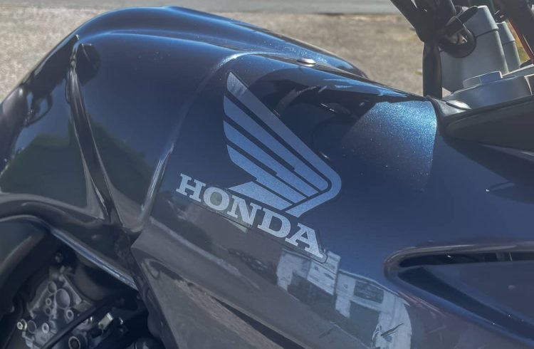 Honda CBF 600 F-08
